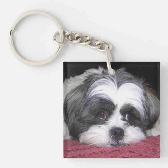 Shih Tzu Dog Keychain