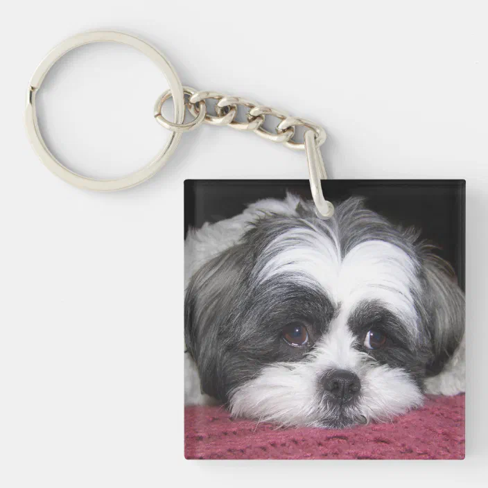 Shitzu Keychain Pet Animal Puppy Gift Dog Cute Funny 