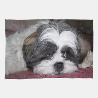 Shih Tzu Dog Kitchen Towel
