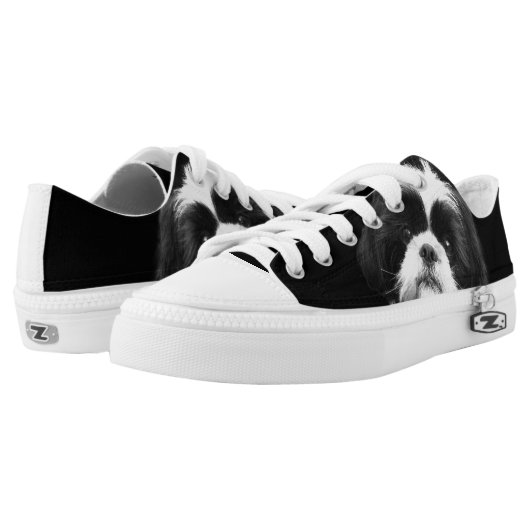 Shih Tzu dog low top tennis shoes (Pair)