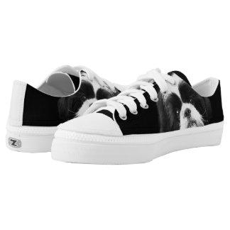 Shih Tzu dog low top tennis shoes
