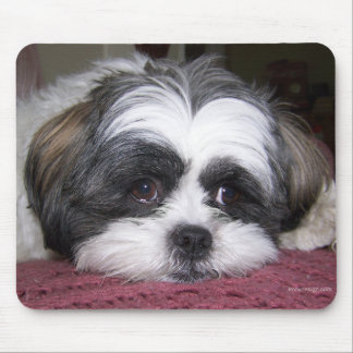 Shih Tzu Dog Mouse Pad