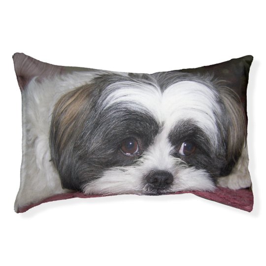 Shih Tzu Dog Pet Bed