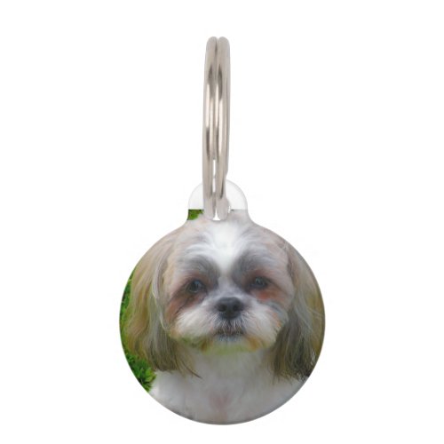 Shih Tzu Dog Pet ID Tag