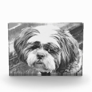 SHIH TZU DOG PHOTO BLOCK