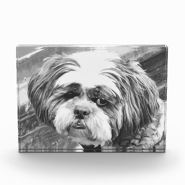 SHIH TZU DOG   PHOTO BLOCK (Front)