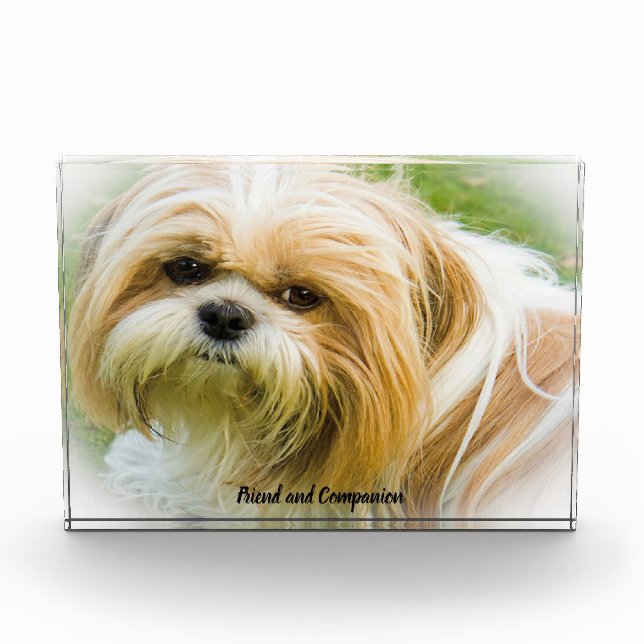 Shih Tzu Dog. Photo Block (Front)