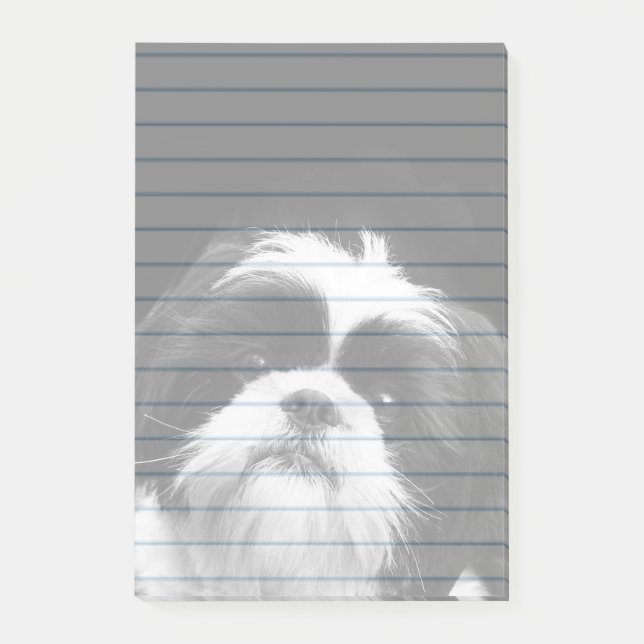 Shih Tzu dog post it notes 4X6 pad (Front)