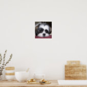 Shih Tzu Dog Poster (Kitchen)