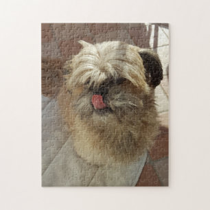 Shih Tzu dog puzzle