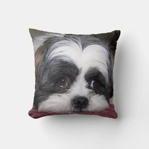 Shih Tzu Dog Throw Pillow