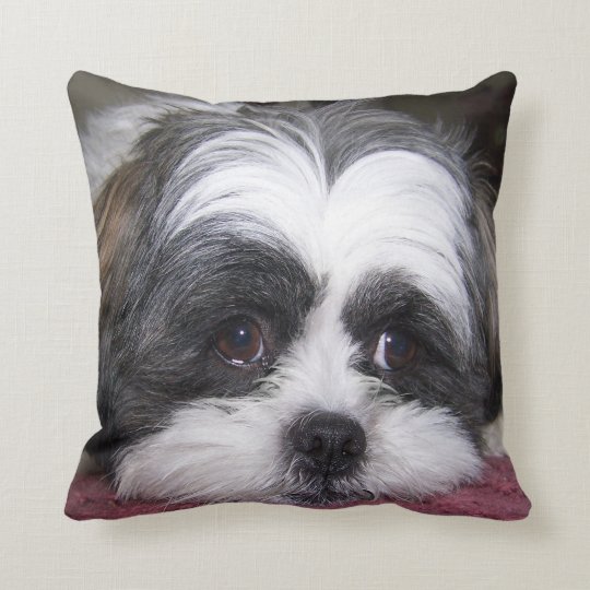 shih tzu pillow