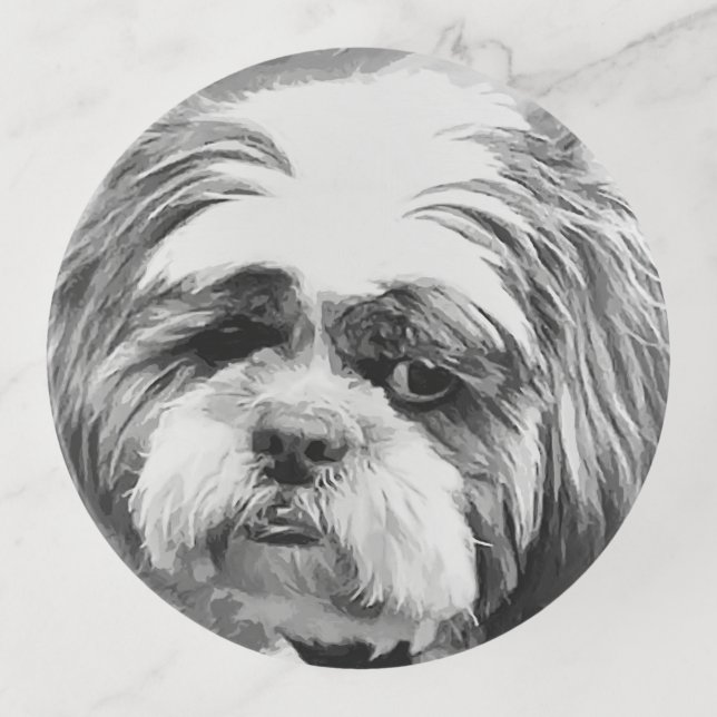 SHIH TZU DOG  TRINKET TRAY (Front)