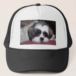 Shih Tzu Dog Trucker Hat