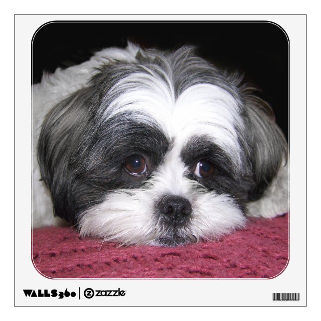 Shih Tzu Dog Wall Sticker (Front)