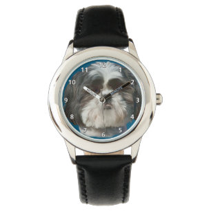 Shih Tzu Dog Watch