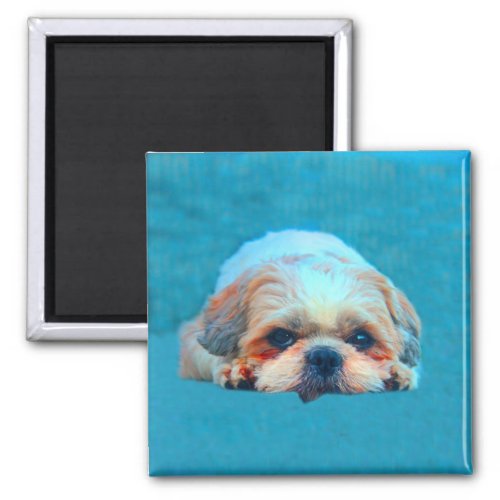 Shih Tzu Dog Water color art Portrait Magnet