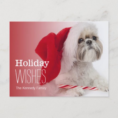 Shih Tzu dog wearing a Santa Claus hat Holiday Postcard