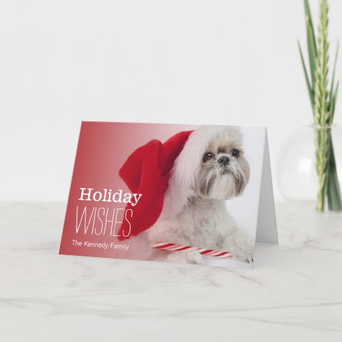 Shih Tzu dog wearing Santa Claus hat Holiday Card