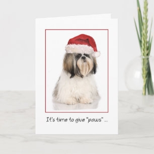 Shih Tzu Dog with Funny Santa Hat Christmas Card