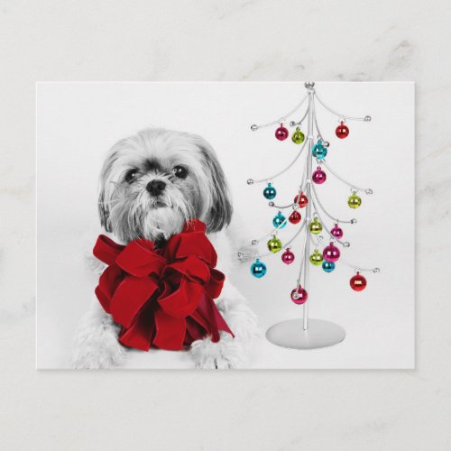 Shih Tzu dog with red bow by toy Christmas tree Holiday Postcard
