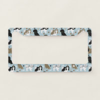 Shih Tzu Dogs Paws and Bones