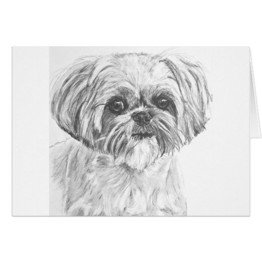 Shih Tzu Drawing Cards (Front Horizontal)