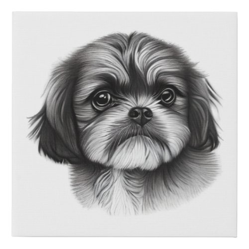 Shih Tzu Drawing Faux Canvas Print