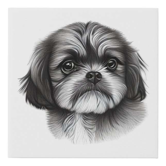 Shih Tzu Drawing Faux Canvas Print (Front)