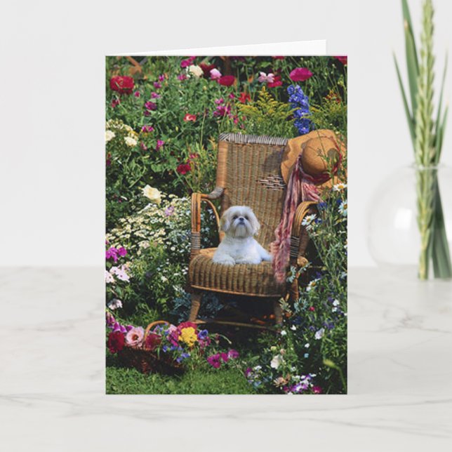 Shih Tzu Garden Card (Front)