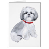 Shih Tzu Gray & White (Front)