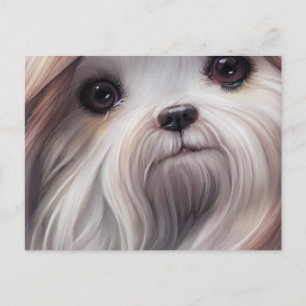 Shih Tzu Greetings Postcard