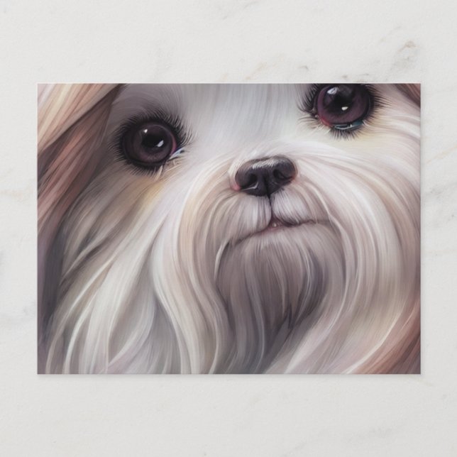 Shih Tzu Greetings Postcard (Front)