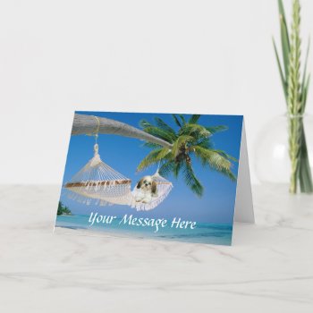 Shih Tzu Hanging Out Greeting Card by normagolden at Zazzle