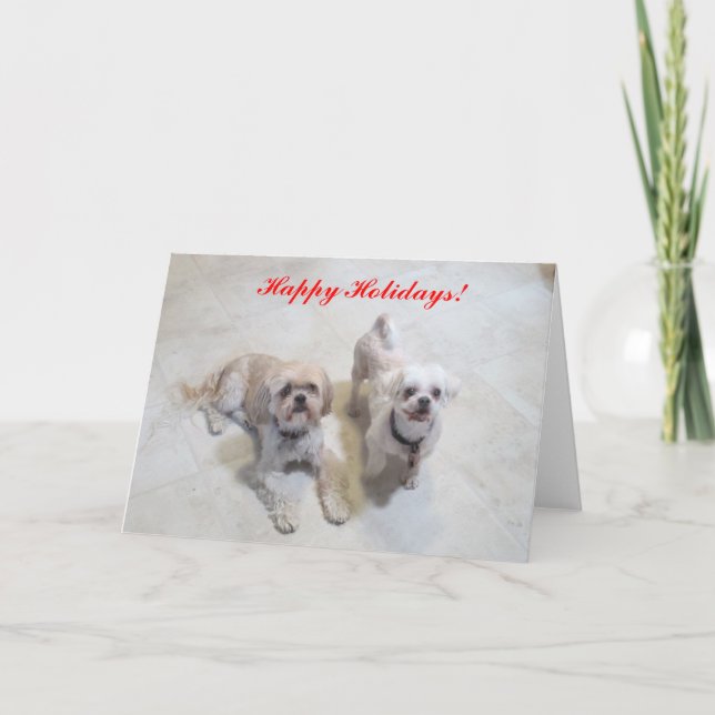 Shih Tzu Happy Holidays Card (Front)