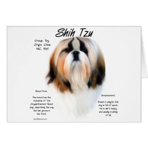 Shih Tzu History Design Cards