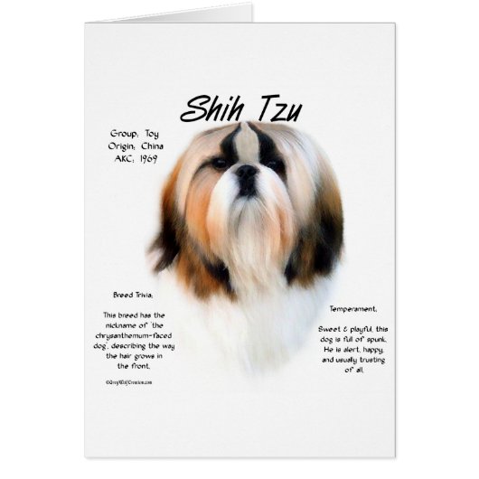 Shih Tzu History Design Cards (Front)