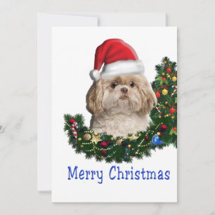 shih tzu holiday card
