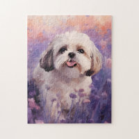 Shih Tzu in Lavender field