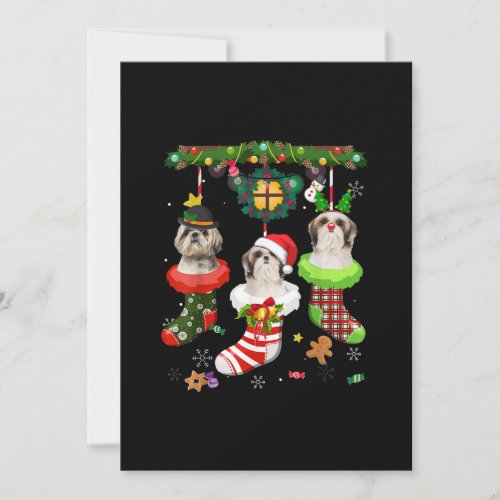 Shih Tzu In Socks Christmas Santa Hat Xmas Lights Thank You Card