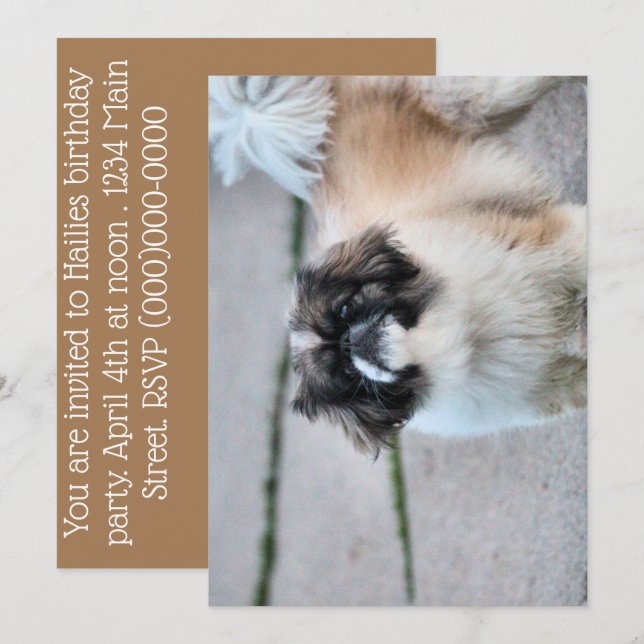 Shih Tzu Invitation (Front/Back)