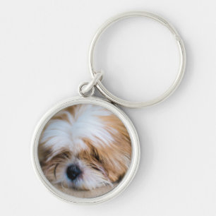 Shih Tzu Keychain