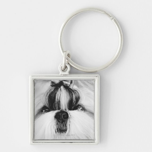 Shih Tzu Keychain (Front)