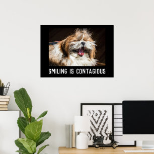 Shih tzu laughing smile customize photo text poster