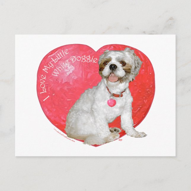 Shih Tzu / Lhasa Apso Valentine's Day Holiday Postcard (Front)