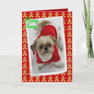shih tzu lhasa tzu cute santa dog Christmas card