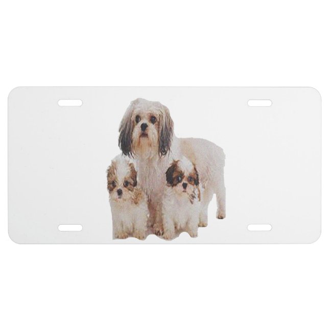Shih-tzu licence plates (Front)