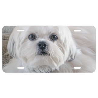 Shih Tzu License Plate