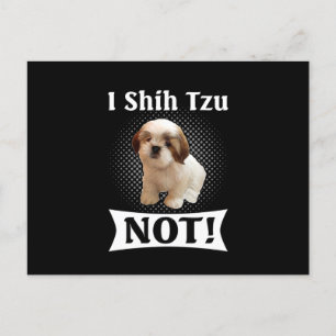 Shih Tzu Love Cute Funny Shih Tzu Announcement Postcard