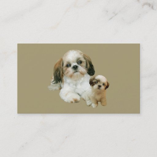 Customizable Shih Tzu Lover Business Card